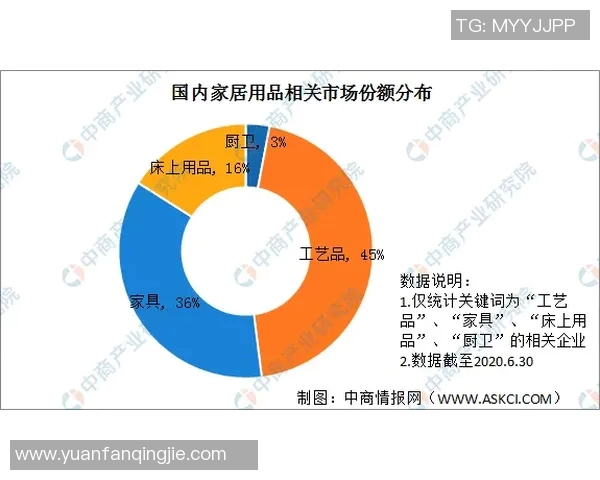 开新与苏宁现场对决探讨零售新模式与未来发展趋势