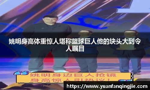 k1体育