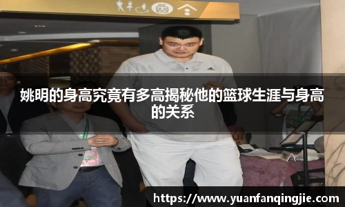 k1体育官网
